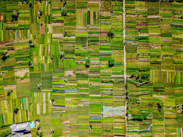Aerial view of patchwork of fields in an agricultural landscape